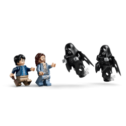 Den Forbudte Skov: Expecto Patronum (76475)
