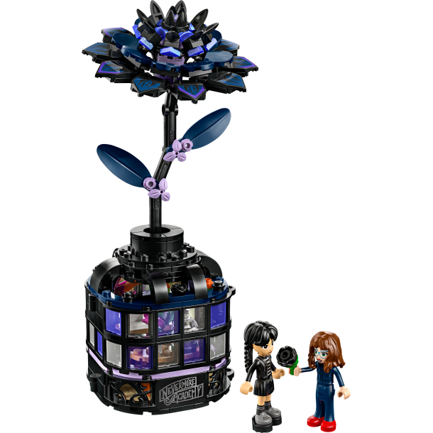 Sort dahlia-blomst (76784)