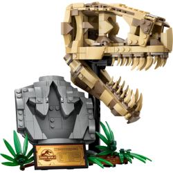 Dinosaur Fossils: T. rex Skull (76964)