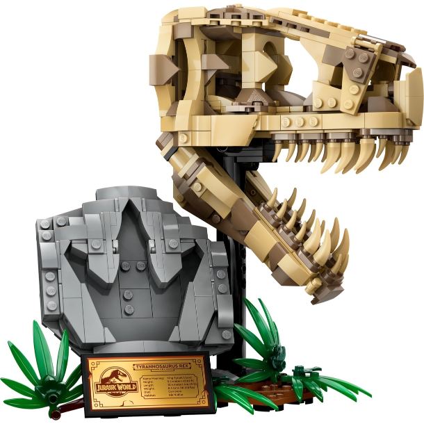 Dinosaur Fossils: T. rex Skull (76964)