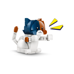 KIT (77081)