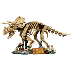 Dinosaurfossiler: Triceratops (77985)