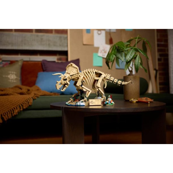Dinosaurfossiler: Triceratops (77985)