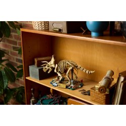 Dinosaurfossiler: Triceratops (77985)