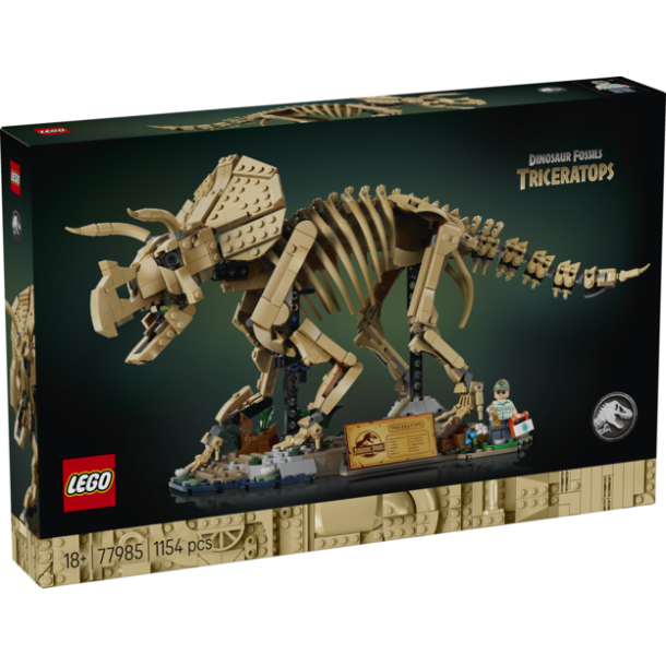 Dinosaurfossiler: Triceratops (77985)