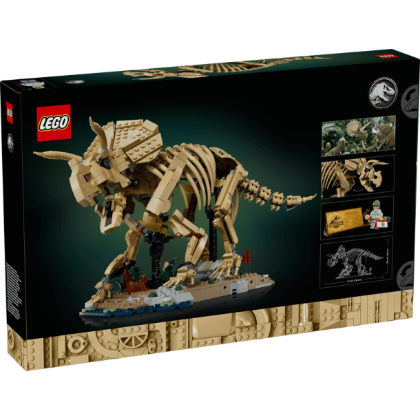 Dinosaurfossiler: Triceratops (77985)