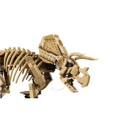 Dinosaurfossiler: Triceratops (77985)