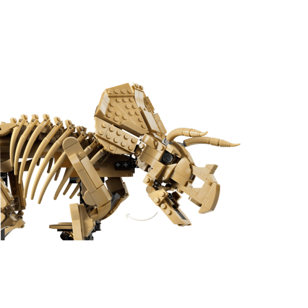 Dinosaurfossiler: Triceratops (77985)