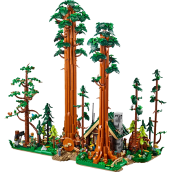 Sequoia Tree Trail (910058)