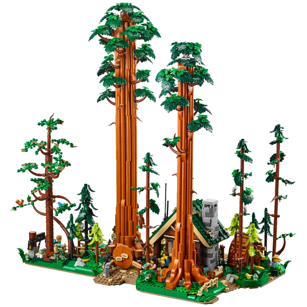 Sequoia Tree Trail (910058)