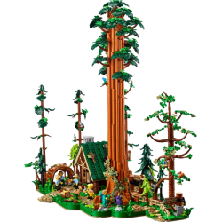 Sequoia Tree Trail (910058)