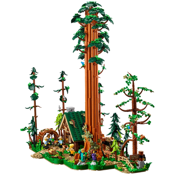 Sequoia Tree Trail (910058)