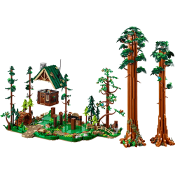 Sequoia Tree Trail (910058)