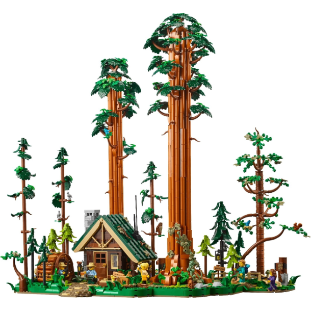 Sequoia Tree Trail (910058)