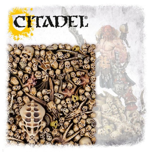 CITADEL SKULLS (64-29)