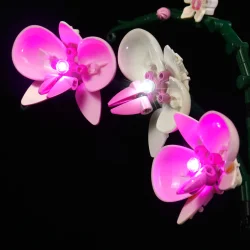 Lyskit til #10311 Orchid  NEW CLASSIC (P49601)