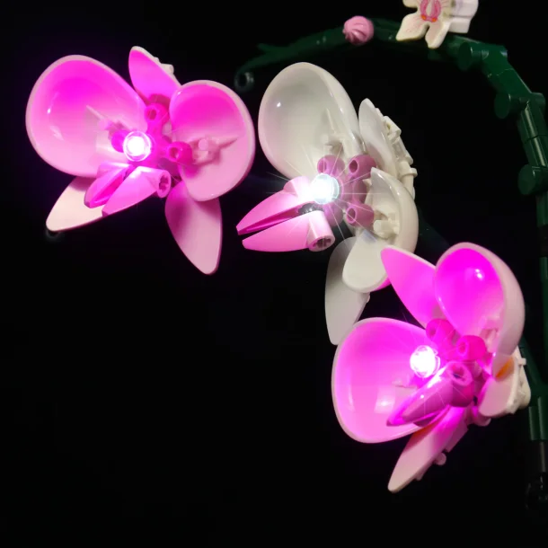 Lyskit til #10311 Orchid  NEW CLASSIC (P49601)