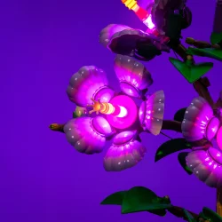 LMB 2.0 Light Kit for LEGO Hibiscus #10372