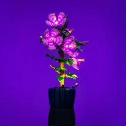 LMB 2.0 Light Kit for LEGO Hibiscus #10372