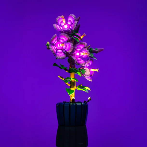 LMB 2.0 Light Kit for LEGO Hibiscus #10372