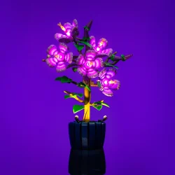 LMB 2.0 Light Kit for LEGO Hibiscus #10372