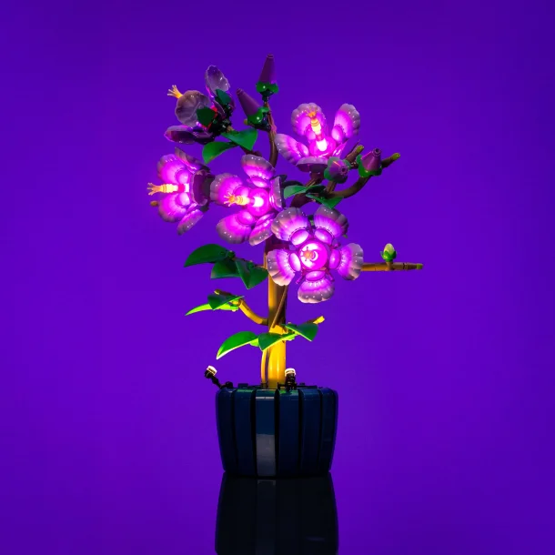 LMB 2.0 Light Kit for LEGO Hibiscus #10372