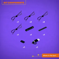 LMB 2.0 Light Kit for LEGO Time Machine from Back To The Future #77256