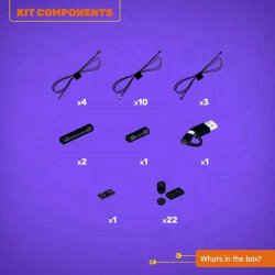 LMB 2.0 Light Kit for LEGO Flower Arrangement #10345