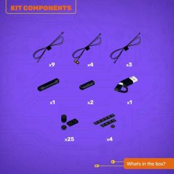 LMB 2.0 Light Kit for LEGO Fountain Garden #10359