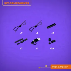 LMB 2.0 Light Kit for LEGO Hibiscus #10372