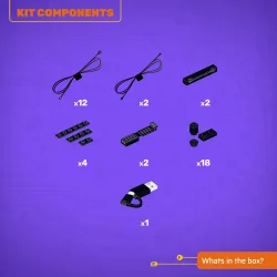 LMB 2.0 Light Kit for LEGO Japanese Cherry Blossom Landscape #31218