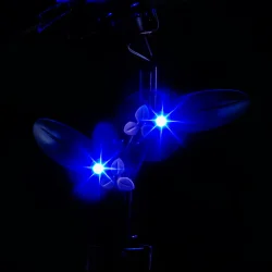 Lyskit til Black Dahlia Flower #76784 (GC1165)