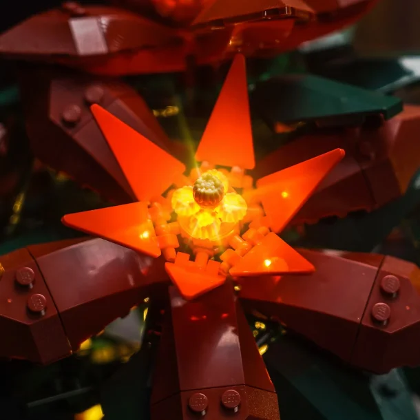 Lyskit til #10370 Julestjerne (GC864)