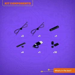 LMB 2.0 Light Kit for LEGO Lucky Bamboo #10344