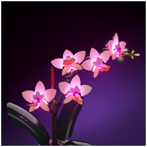 LMB 2.0 Light Kit for LEGO Mini Orkid #10343