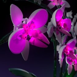 LMB 2.0 Light Kit for LEGO Orchid #10311