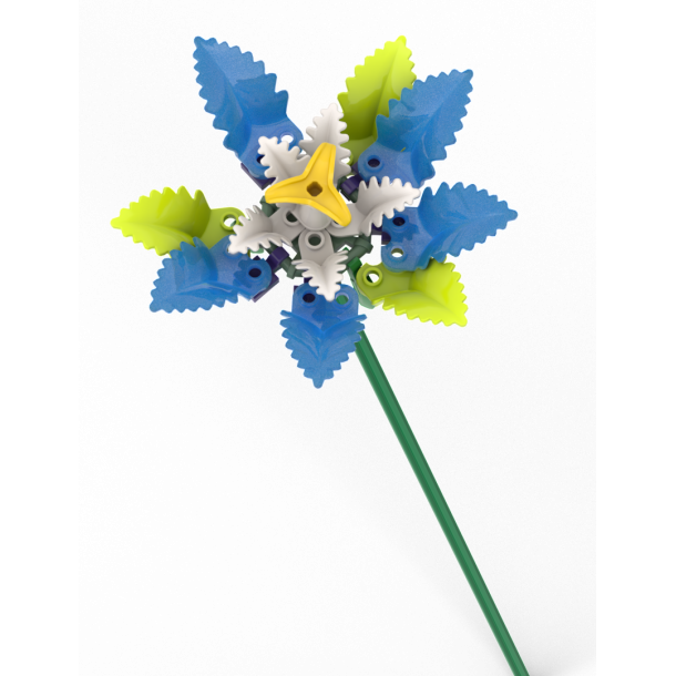 Right Balance (dob4)