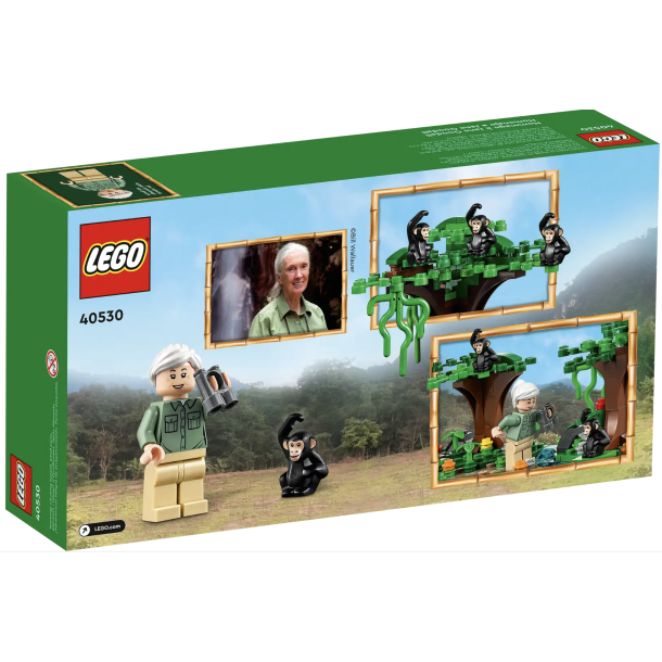 40530 - Jane goodall Tribute