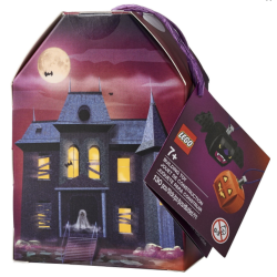 854049 - Pumpkin &amp; Bat Duo