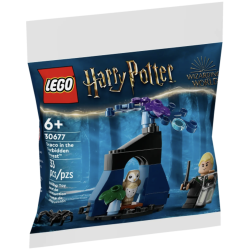 30677 - Draco i Den Forbudte Skov (Poly)