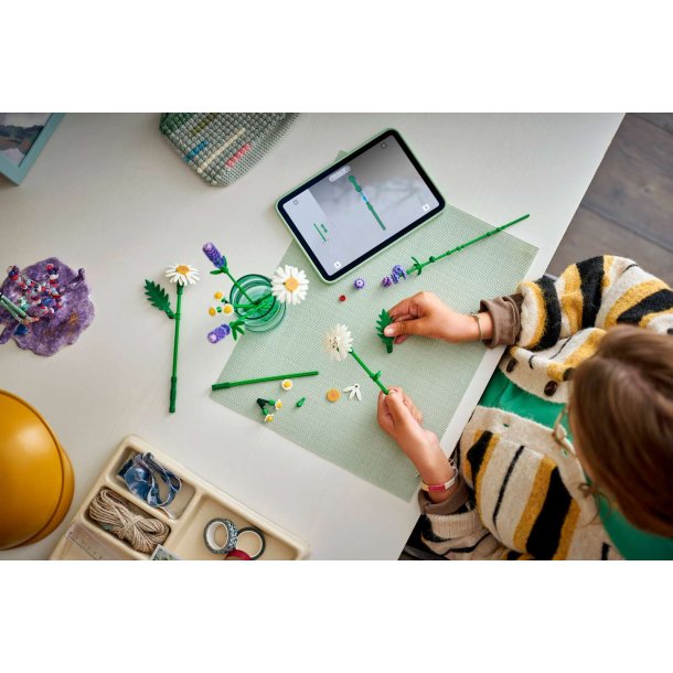 LEGO Botanicals - Margueritter (11508)
