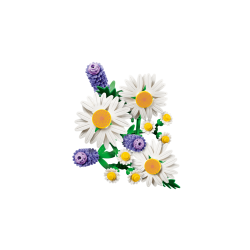 LEGO Botanicals - Margueritter (11508)