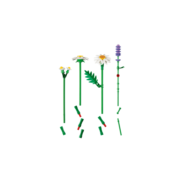 LEGO Botanicals - Margueritter (11508)