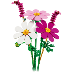Stolt kavaler-blomster (11514)