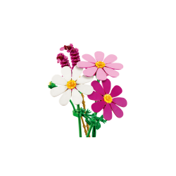Stolt kavaler-blomster (11514)