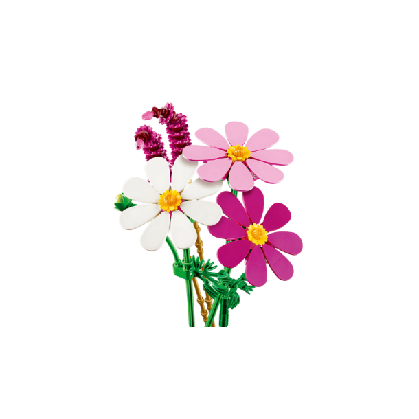Stolt kavaler-blomster (11514)