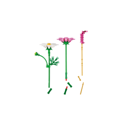 Stolt kavaler-blomster (11514)