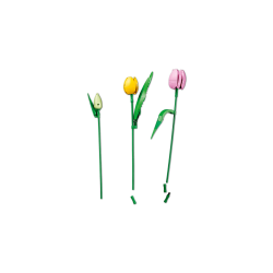 LEGO Botanicals - Tulipanbuket (11501)