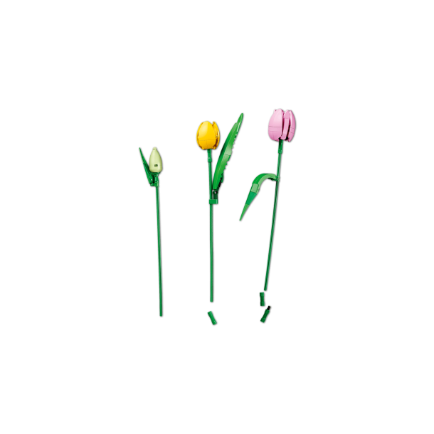 LEGO Botanicals - Tulipanbuket (11501)
