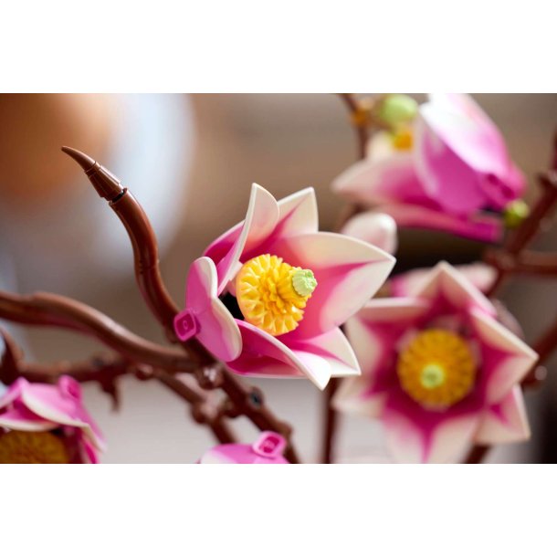 LEGO Botanicals - Magnolia-grene (11510)